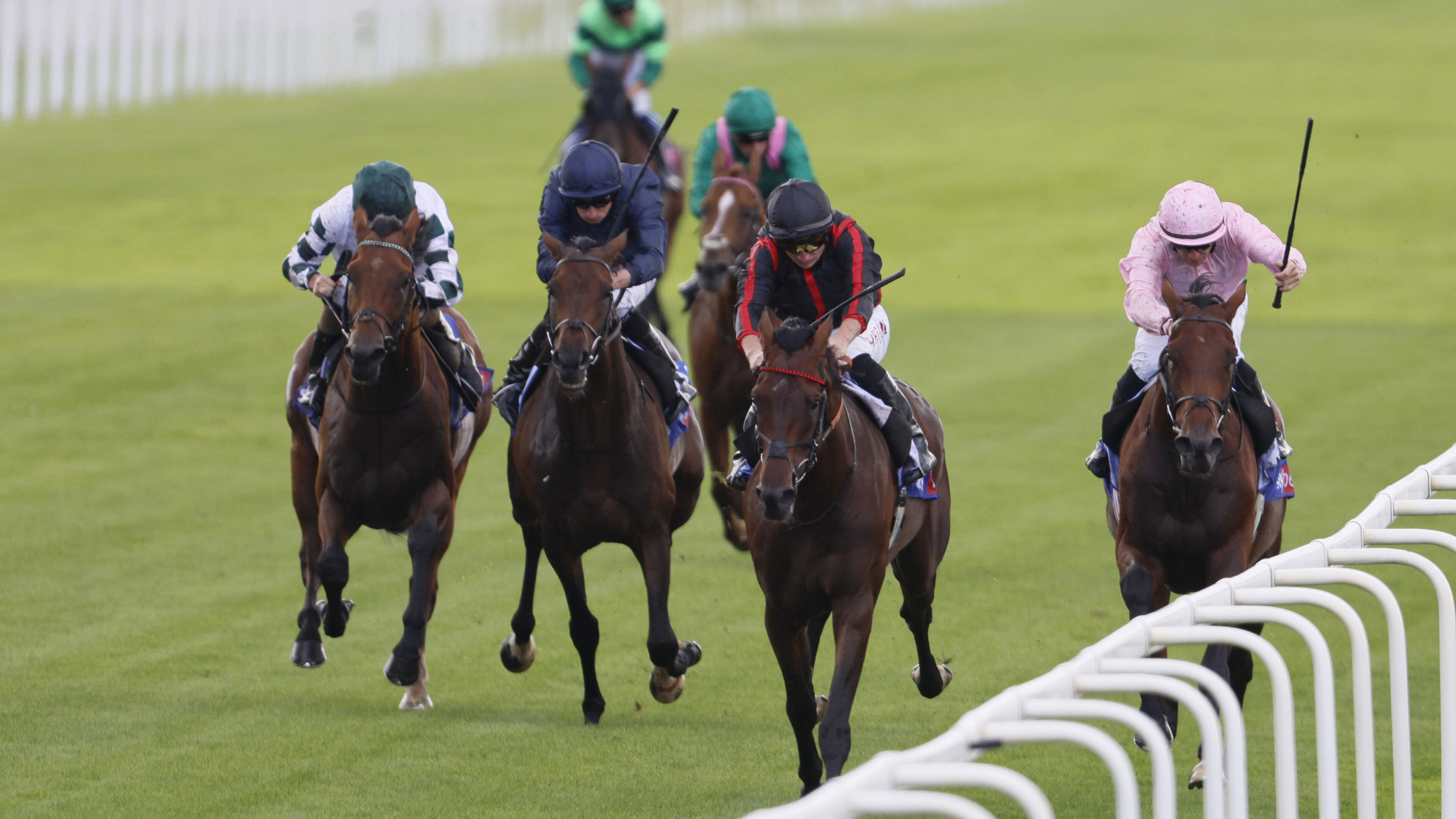 William Haggas hoping Maltese Cross can follow in Arc hoofprints of his illustrious sire Sea The Stars